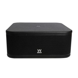 W Audio CBS110S Subwoofer – 10 inch