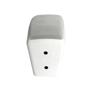 W Audio BMS204T luidspreker, wit