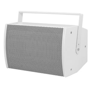 Clever Acoustics SVT 250 witte luidspreker