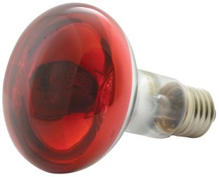 QTX R80 Rood Gekleurde reflectorlamp E27