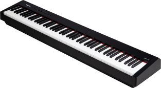NPK-10 draagbare digitale piano