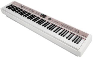 NPK-20 Professionele Digitale Piano