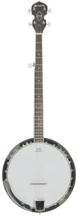 BJ-serie banjo's