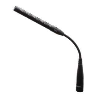 W Audio Zwanenhalsmicrofoon
