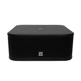 W Audio CBS110SA actieve subwoofer – 350 W