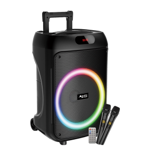 AudioClub Disco12LED 12-inch 300W draagbare speaker met draadloze microfoons