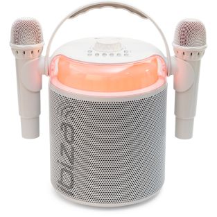 Ibiza KARAHOME-WH Bluetooth Karaoke speaker op accu 120W