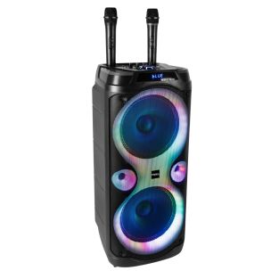 Ibiza Columba-Karaoke 1000W Krachtige Speaker 2 draadloze microfoons
