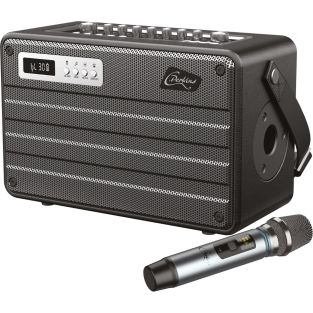 ROADY FL Draagbaar Alles in 1 systeem Bluetooth speaker met UHF microfoon