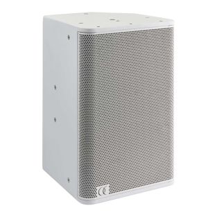 Audiophony Sline110W passieve luidspreker 10 inch 250 W RMS